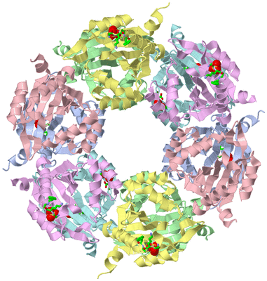 Image Biol. Unit 1 - sites