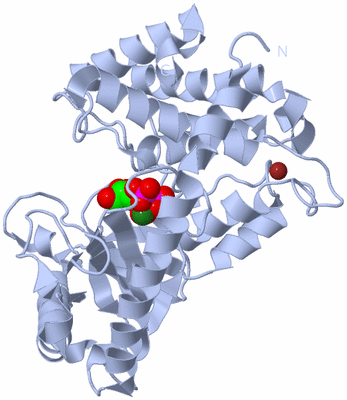 Image Biological Unit 1