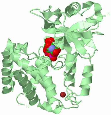 Image Biological Unit 2