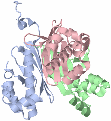 Image Asym./Biol. Unit