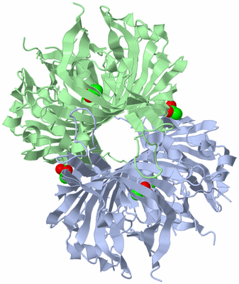 Image Biological Unit 1