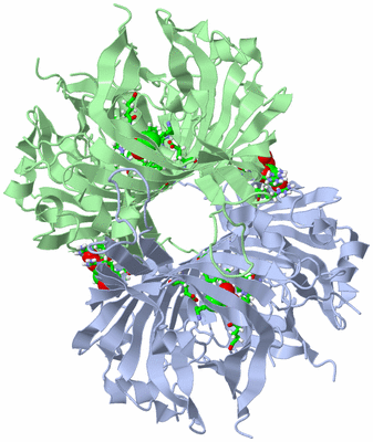 Image Biol. Unit 1 - sites