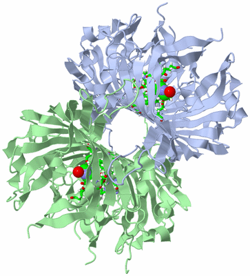 Image Biol. Unit 1 - sites