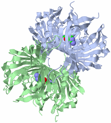 Image Biological Unit 1