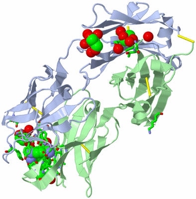 Image Biol. Unit 1 - sites