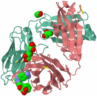 Image Biological Unit 2