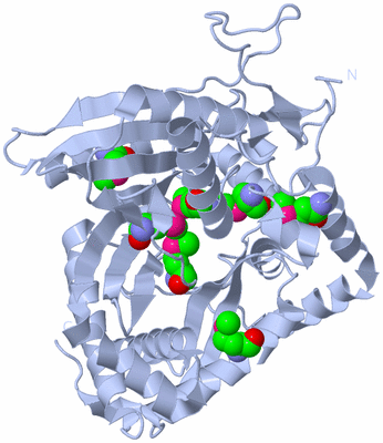 Image Biological Unit 1