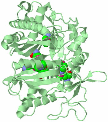 Image Biological Unit 2