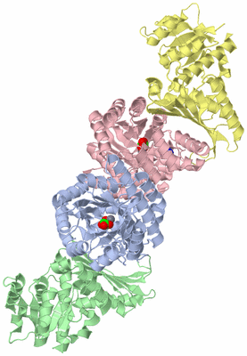 Image Asym./Biol. Unit