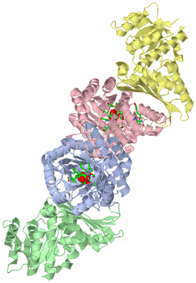 Image Asym./Biol. Unit - sites