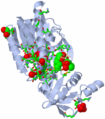 Image Biol. Unit 1 - sites