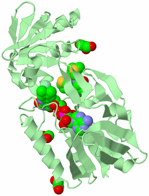 Image Biological Unit 2