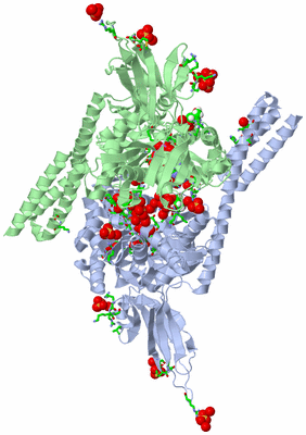 Image Asym./Biol. Unit - sites