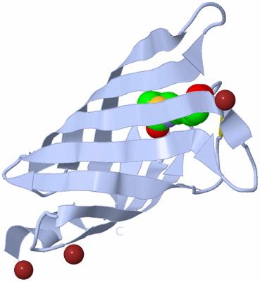 Image Biological Unit 1