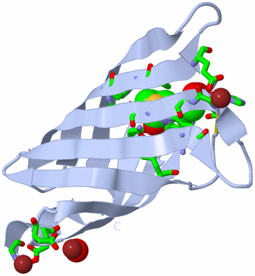 Image Biol. Unit 1 - sites