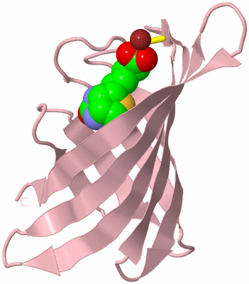 Image Biological Unit 3