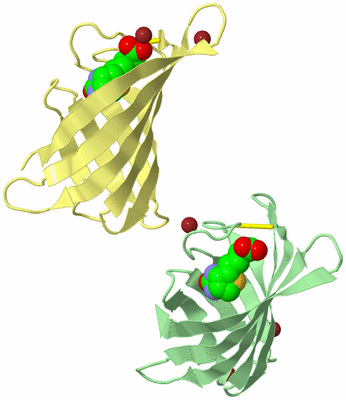 Image Biological Unit 5