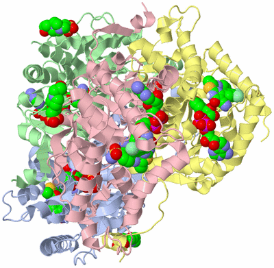 Image Asym./Biol. Unit