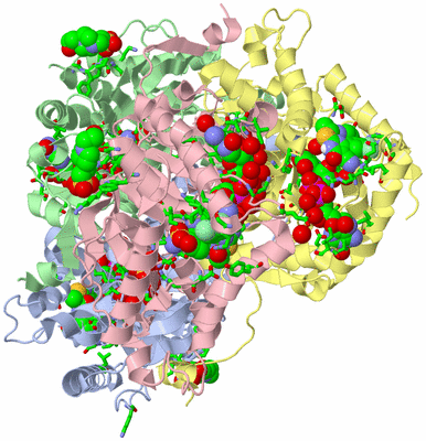 Image Asym./Biol. Unit - sites