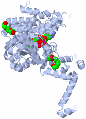 Image Biological Unit 1