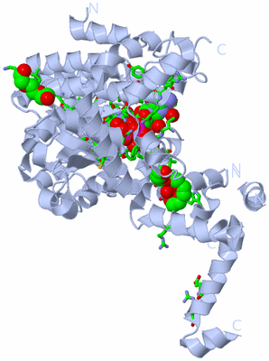 Image Biol. Unit 1 - sites