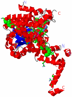 Image Asym. Unit - sites