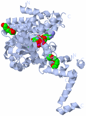 Image Biological Unit 1