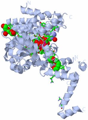 Image Biol. Unit 1 - sites