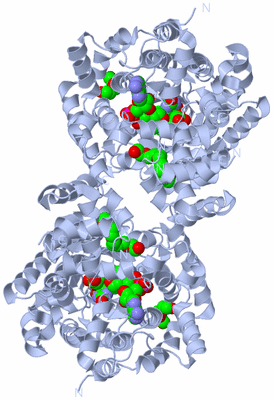 Image Biological Unit 2