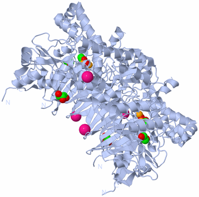 Image Biological Unit 1