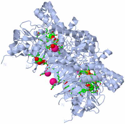 Image Biol. Unit 1 - sites