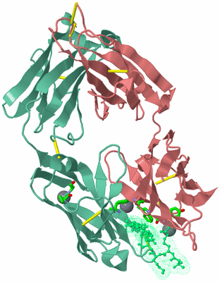 Image Biol. Unit 1 - sites