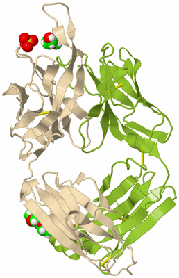 Image Biological Unit 2