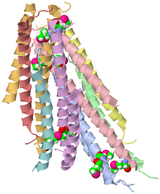 Image Asymmetric Unit