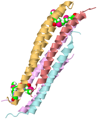 Image Biological Unit 2