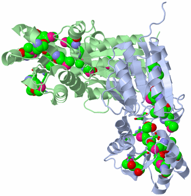 Image Asym./Biol. Unit - sites