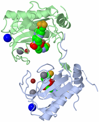 Image Asym./Biol. Unit