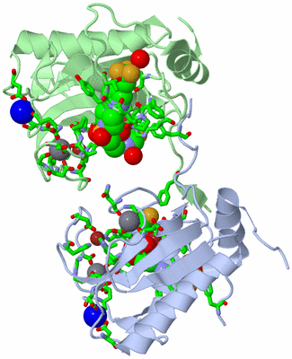 Image Asym./Biol. Unit - sites