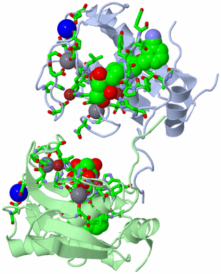 Image Asym./Biol. Unit - sites