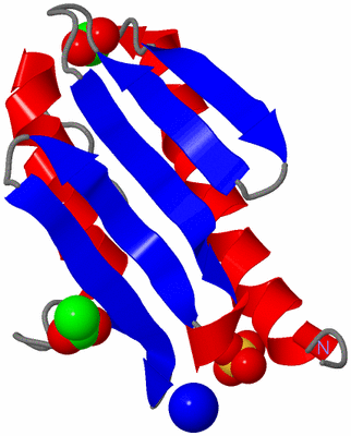 Image Asymmetric Unit