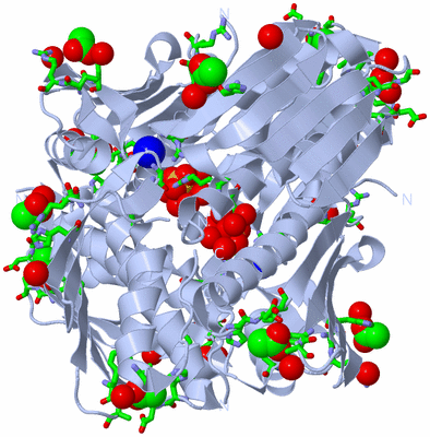 Image Biol. Unit 1 - sites