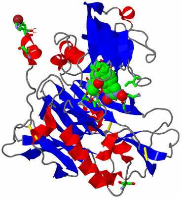 Image Asym./Biol. Unit - sites