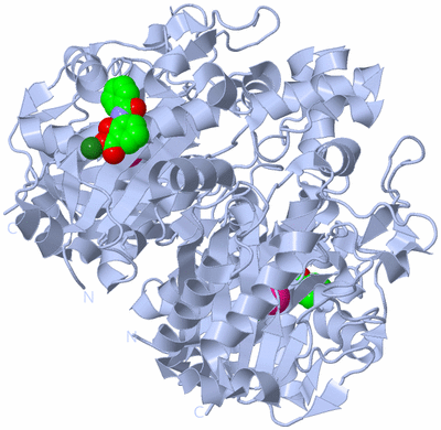 Image Biological Unit 1