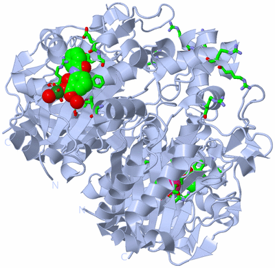 Image Biol. Unit 1 - sites