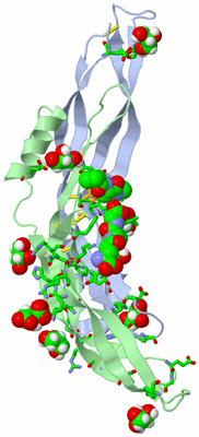 Image Biol. Unit 1 - sites