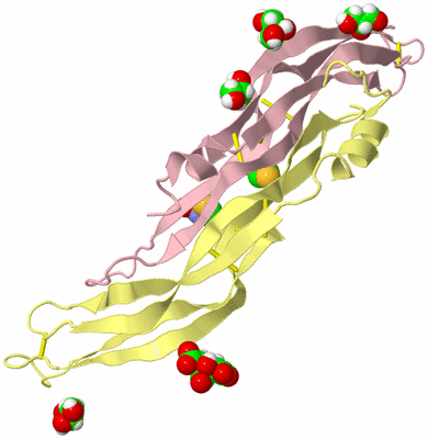 Image Biological Unit 2