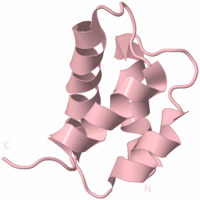 Image Biological Unit 3