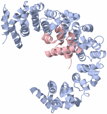 Image Biological Unit 5