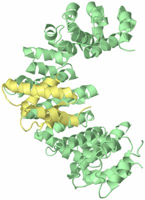 Image Biological Unit 6