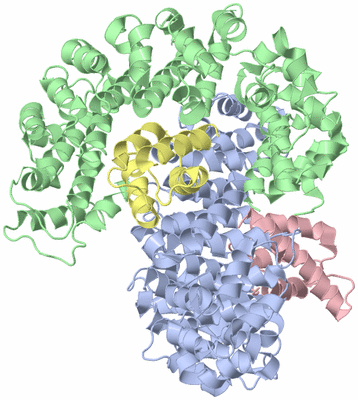 Image Biological Unit 7